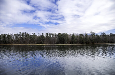 Island with trees at Pickwick Lake photo