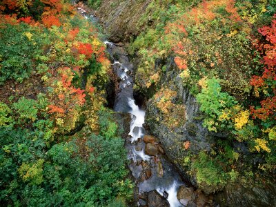 Beautiful mountain river at autumn photo