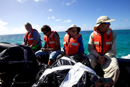 Nihoa Millerbird Translocation-4