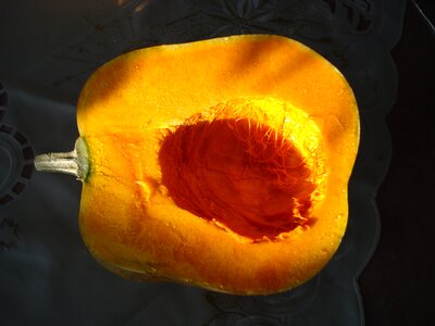 Pumpkin vegetables orange