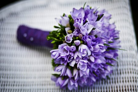 Flower purple flowers bouquet of flowers photo