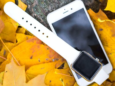 Autumn autumn season wristwatch