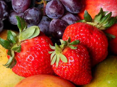 Beautiful Photo calorie delicious