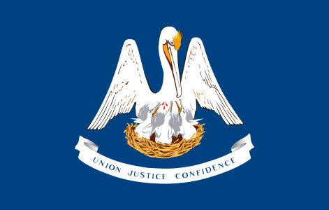 Louisiana State Flag photo