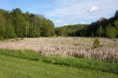 Canaan Valley, West Virginia Virginia