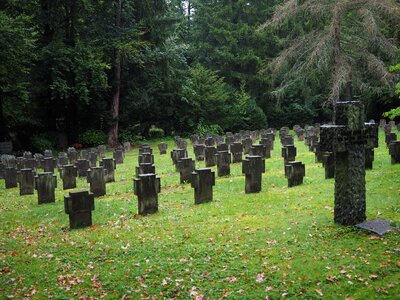 Cemetery woodland cemetery graves