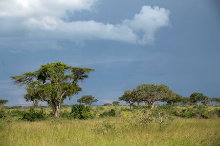 Storm sky savanna photo