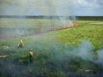 Prescribed burn-1 photo