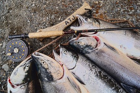 Fish alaskan fly fishing photo