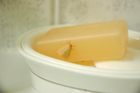 Bathsoap bathroom clean