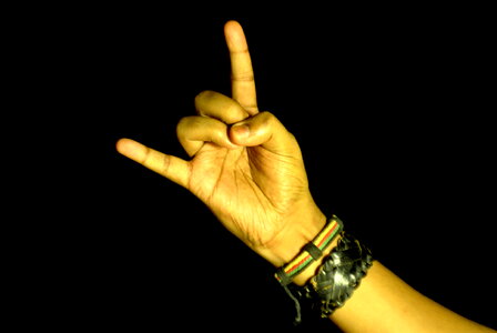 Hand Signs photo