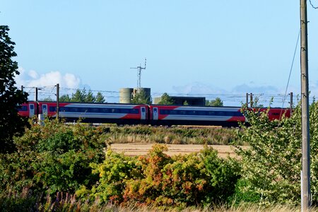 High speed train transport trees photo
