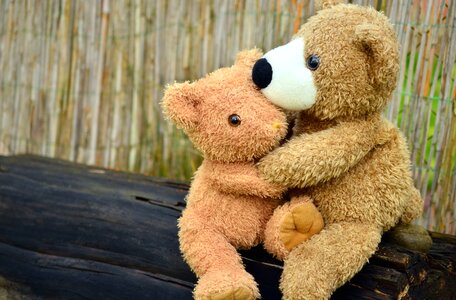 Toy toys wood