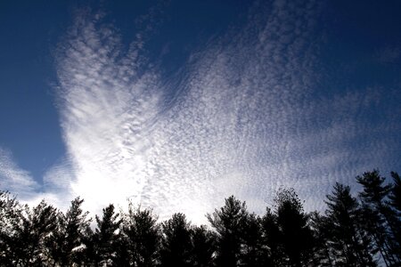 Clouds conifer conifers
