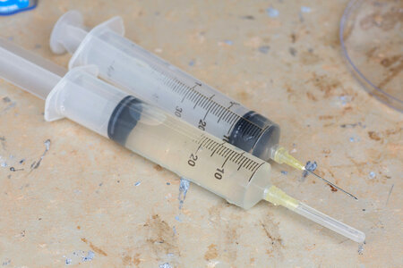 Syringes filled with clean water for harvesting glochidia