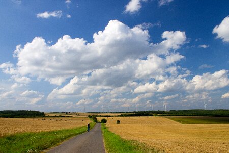 Windräder away summer photo