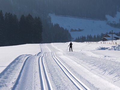 Cross country skiing winter trail photo
