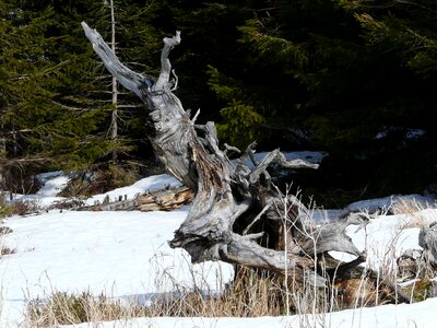 Wintry snow hiking