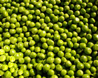 Green food vegetable photo