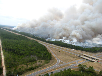 Prescribed burn-2