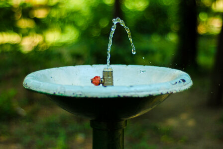 Fountain photo