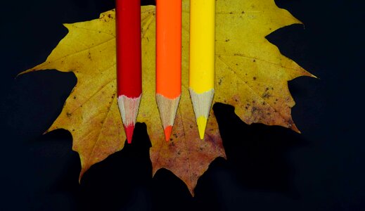 Autumn autumn season colorful