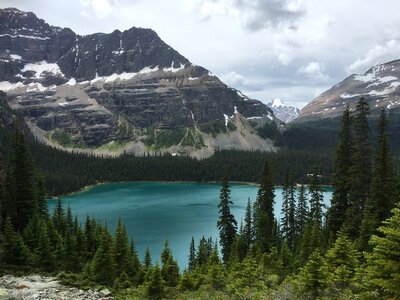 Lake O'Hara, Yoho National Park, Canadian Rockies photo