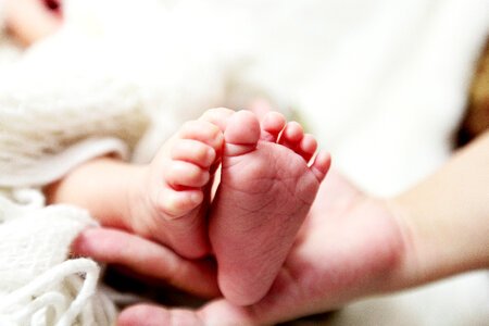 Baby Feet photo