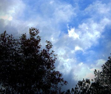 Cloudy billowing nebula photo