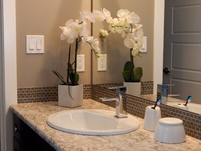 Counter faucet home
