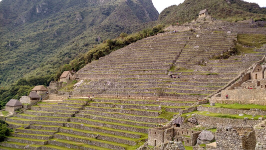 Terrace Steps at Machu Picchu, Peru photo