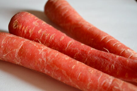 Carrots Vegetables photo