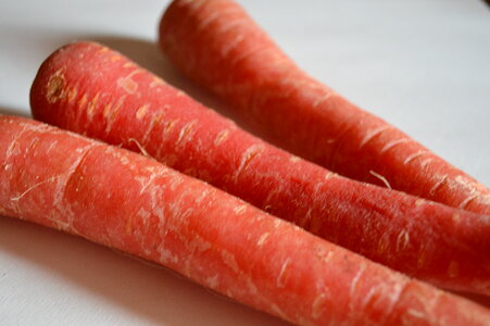 Carrots Vegetables