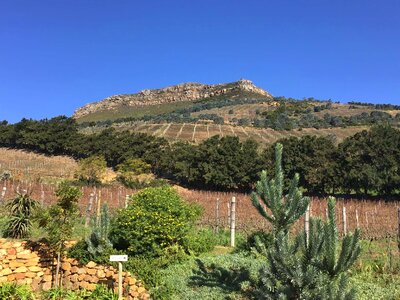 Agriculture hilltop rural photo