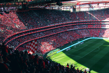 13 Benfica photo