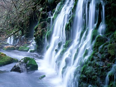 Scenic waterfalls in a beautiful moss