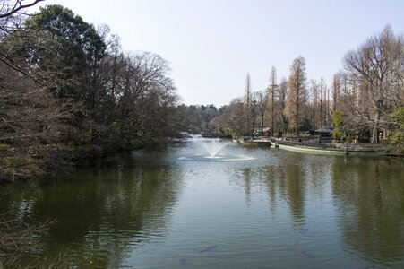 38 Inogashira Park