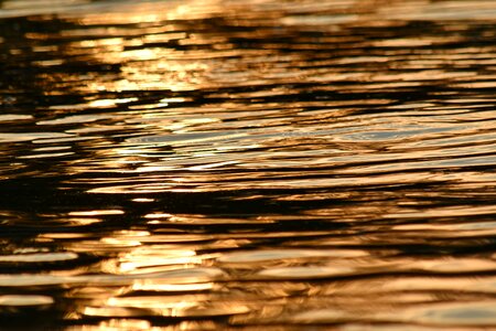 Calm landscape orange yellow