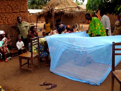 Husband malaria mosquito