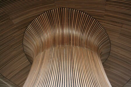 Striped vaulted interior