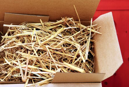 Box carton package