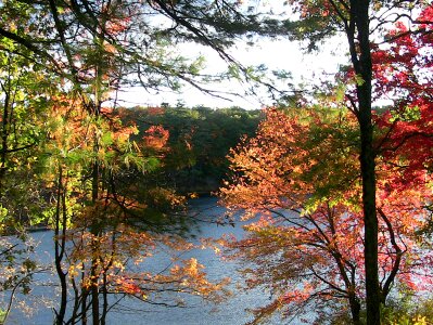 Seasons autumn red