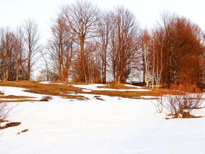 Winter  