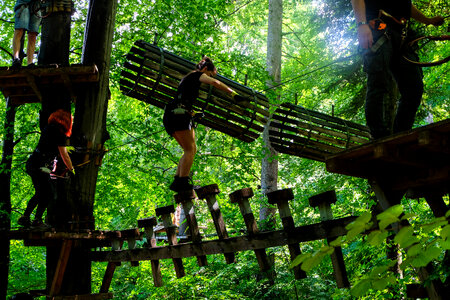 People Climbing Trees in an Amusement Park
