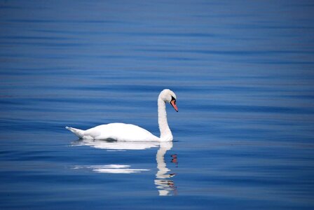 Water lake white