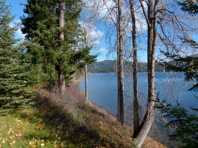 Fall season trees