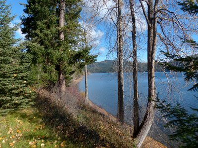 Fall season trees photo