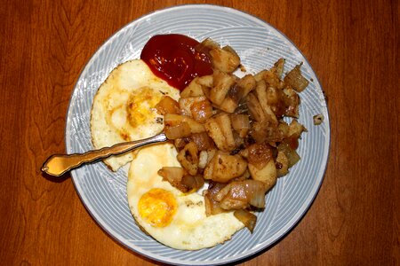 Cooking food lunch photo