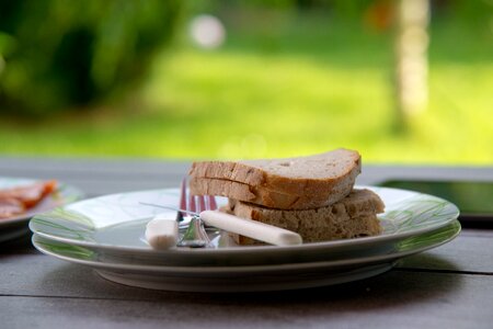 Garden plate cutlery photo