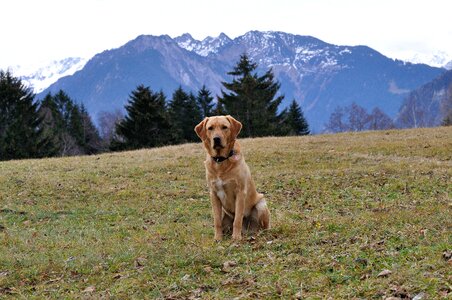 Sitting mountains nature